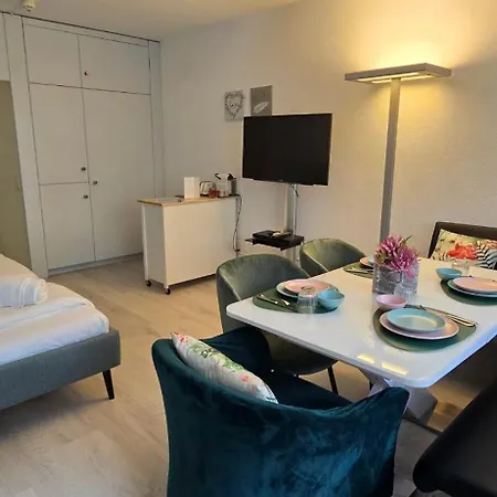 304 Residenza Di Lugano Appartement